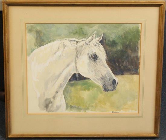 Peter Upton (1937-) Portrait of the Arab stallion Shammar, 11 x 13.5in.